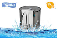 WellBlue Brand Countertop type and wear-mounted faucet water filter L-DF206