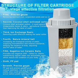 WellBlue Low ORP Alkaline Water Pitcher Water Filter Cartridges Replacement